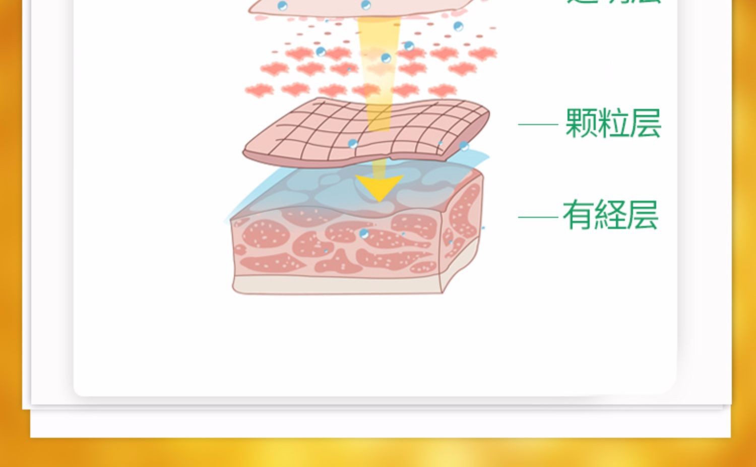 蜂胶脸部提拉紧致皮肤深层清洁毛孔按摩膏500g滋润面部v脸霜美容院