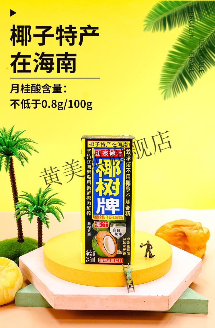 椰汁正宗牌椰汁 330ml*24海南特产椰子汁水植物椰奶果汁饮料整箱植物