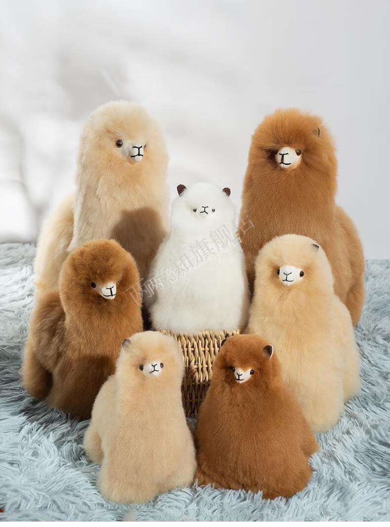 秘鲁羊驼2022新款羊驼毛公仔玩偶 秘鲁进博会儿童毛绒玩具 warmpaca