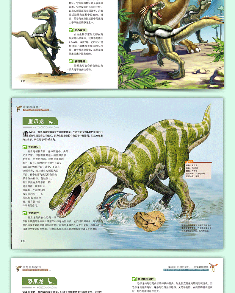 昆虫百科全书恐龙百科全书超值彩图版增长知识开阔视野激发兴趣启迪