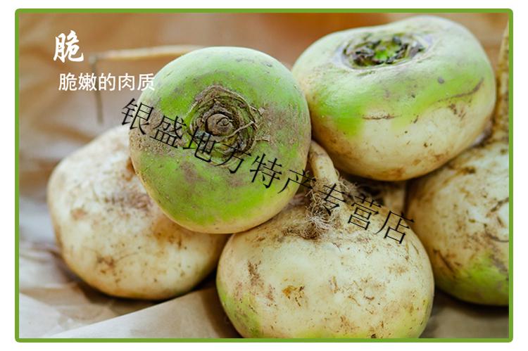 新疆土特产新鲜恰玛古当季蔓菁疙瘩蔬菜农产品芜青土萝卜美食 2500g