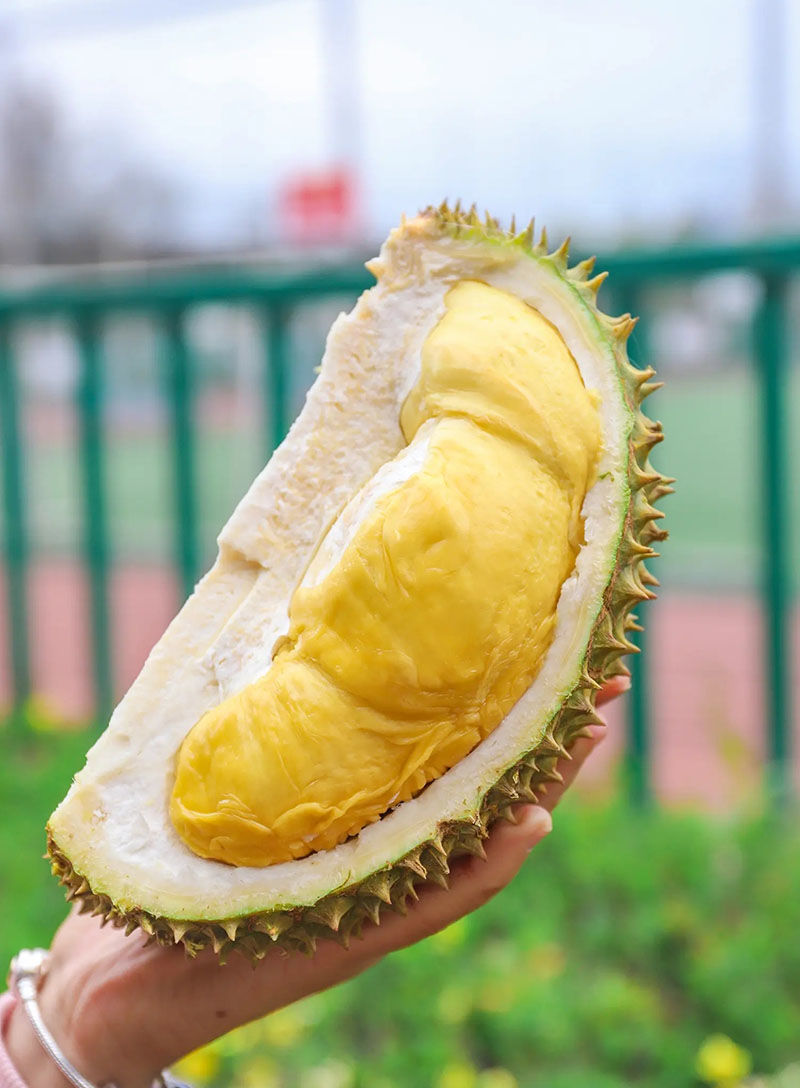 顺丰速发保5房泰国新鲜金枕榴莲新鲜榴莲整个带壳精选高品质热带水果