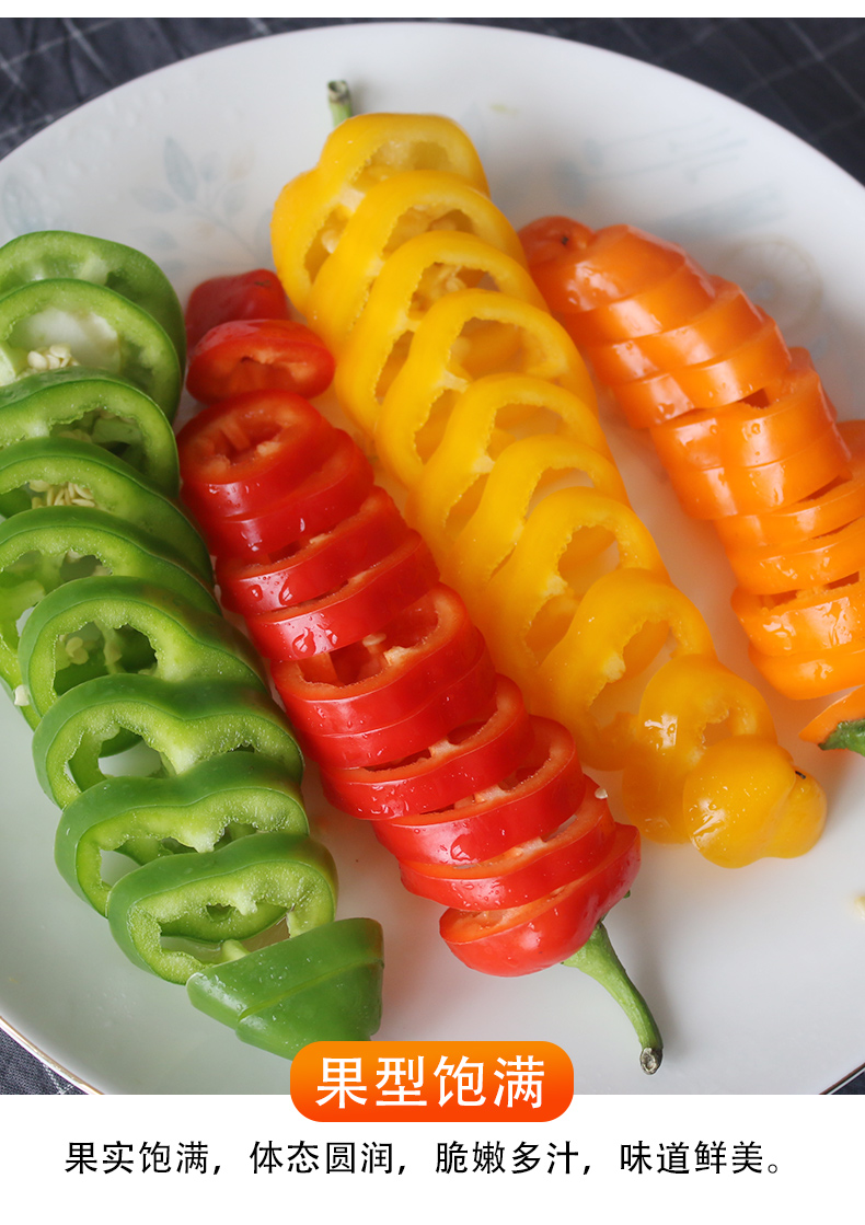 生吃小彩椒山东蔬菜水果小辣椒五彩椒迷你生吃高vc荷兰水果甜椒沙拉