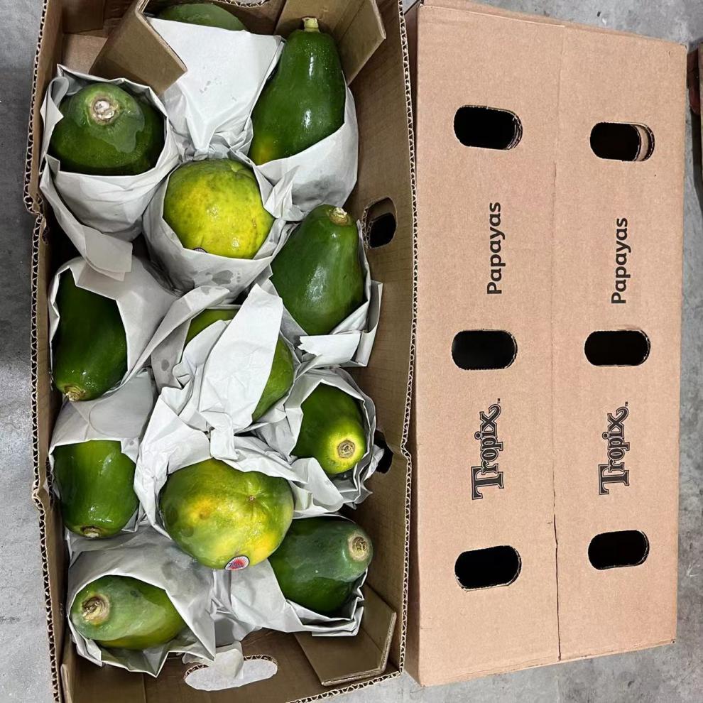 菲律宾木瓜甜蜜大果4个当季树上熟木瓜超甜木瓜新鲜时令水果【图片