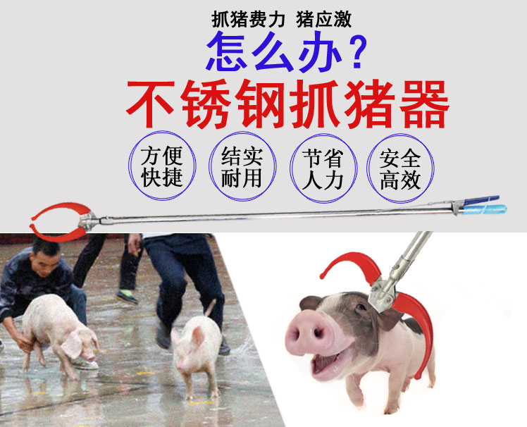 抓猪套猪嘴神器猪用猪套子钢丝绳捉猪打针绳式套狗保定器杆不锈钢抓猪