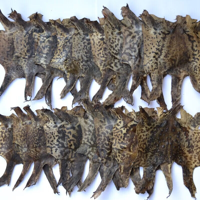 整张蟾蜍皮干10张癞赖蛤蟆皮蟾蜍衣皮粉干癞蛤蟆整张20张