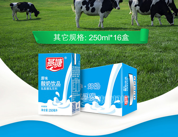 2大箱998燕塘原味酸奶饮品乳酸菌饮品营养早餐乳品成人儿童中老年饮品