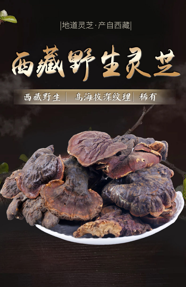 西藏野生灵芝纯野生赤灵芝特产林芝切片金边白肉灵芝泡酒西藏野生灵芝