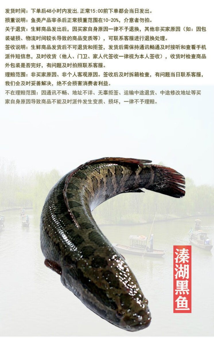 黑鱼乌鱼财鱼新鲜炖汤术后养生活鱼现捕现杀割片整条黑鱼烤鱼炖汤酸菜