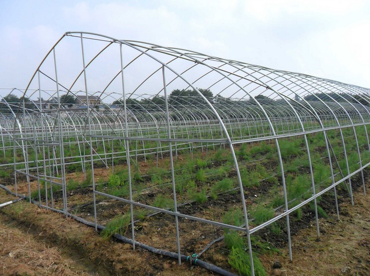热镀锌大棚钢管骨架625/825养殖大棚骨架 蔬菜大棚钢架花卉草莓温室