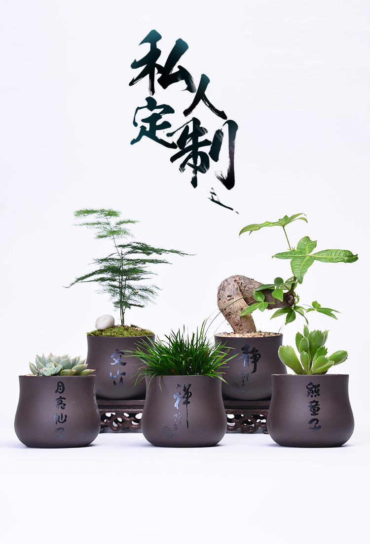姜芮 创意定制紫砂多肉花盆陶瓷批发雕刻logo文字小号绿植盆栽肉肉盆