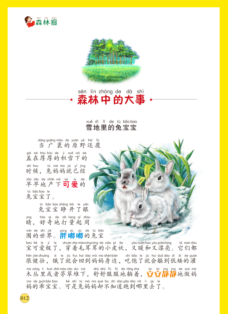 《全新正版 少儿必读经典 森林报 16开精装 学生新课标必读 学校读物