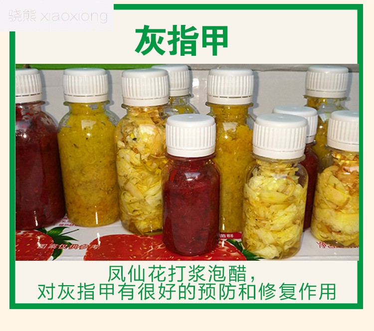 骁熊新鲜红白凤仙花花瓣泡酒打浆泡醋小桃红指甲草花染指甲50克白花