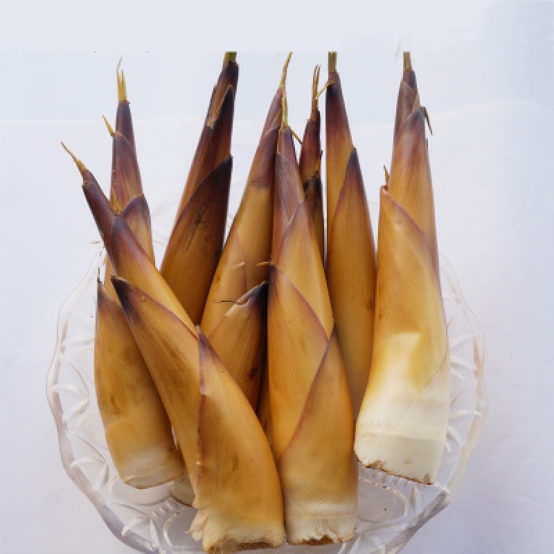 恋品惠 2018野生甜苦笋新鲜苦笋罐头 苦竹笋春笋笋子_ 11折现价84元