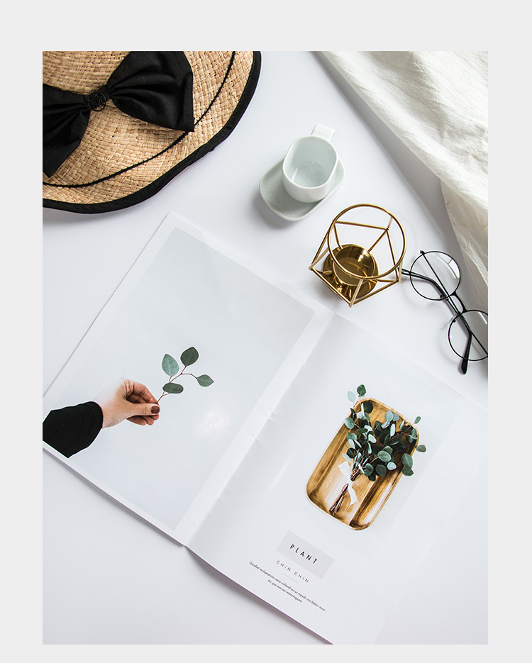 ins人物植物生活杂志书化妆品美食拍照道具摄影背景布景北欧装饰ins