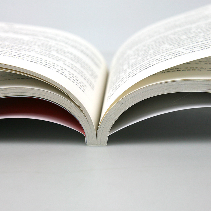 稀缺(经典版)我们是如何陷入贫穷与忙碌的 行为经济学著作 经济学理论