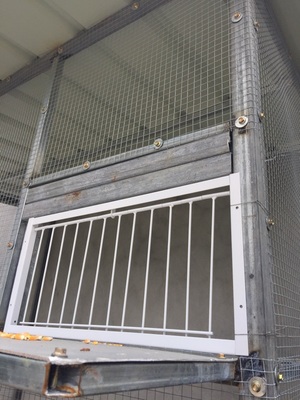 鸽子用品用具鸽子撞门铁活门活络门帘子门信鸽进笼口进门放飞笼 活络