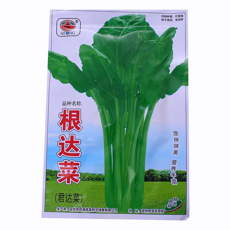 花明月根達菜種子 播蔬菜種子牛皮菜 莙薘菜君達菜易種四季播 根達菜c