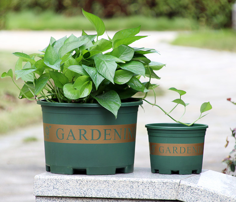 泰西丝 园艺塑料花盆阳台1/2/3/5加仑种花多肉矮盆绿萝月季种植加仑盆
