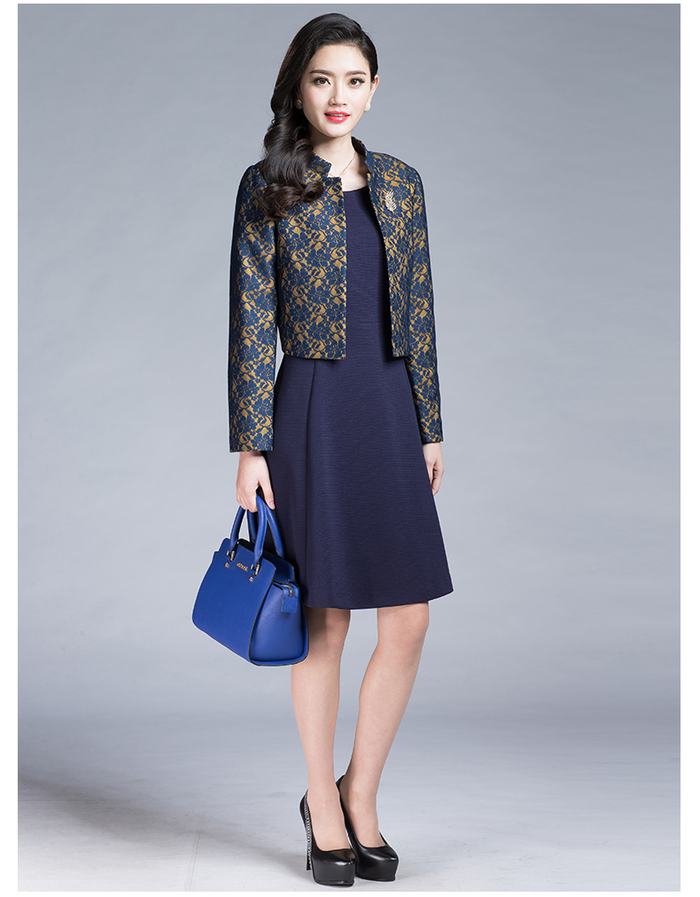 凌之韵 中老年女装中长款a字连衣裙两件套 2016新款婚宴妈妈装连衣裙