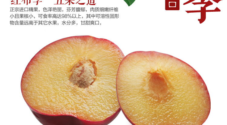 李子树苗有哪些品种