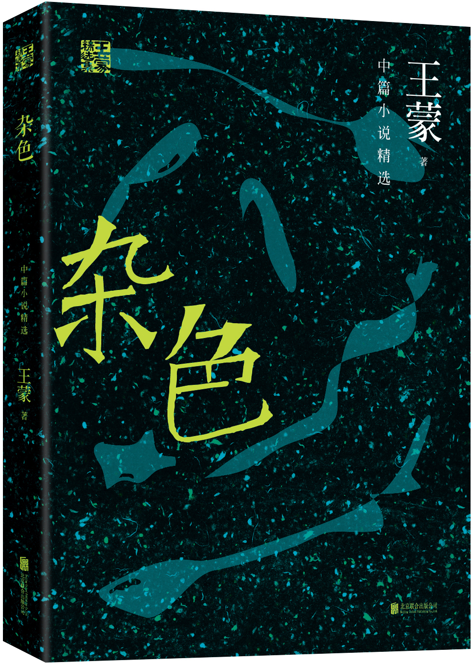 王蒙精选集:杂色