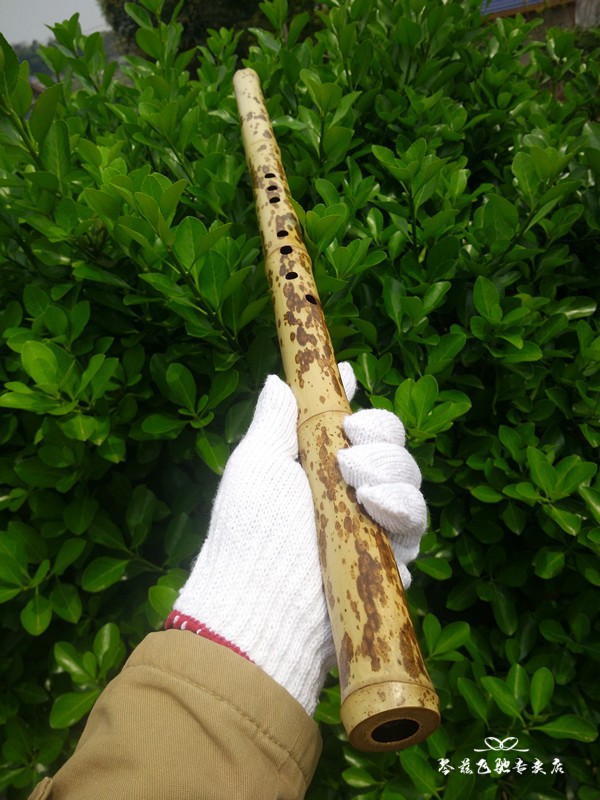 琴兹(qin ci) 手工制作传统民族乐器湘妃竹箫斑竹箫收藏珍品洞箫南箫