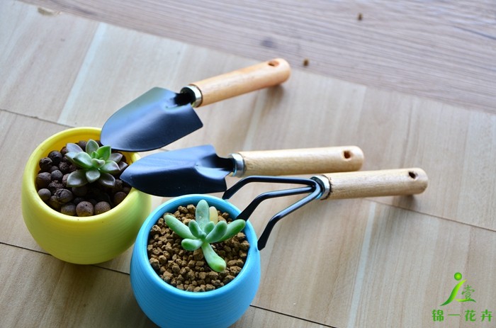 锦一花卉 栽花种花养花园艺盆栽迷你种植挖土松土工具套装小铲子铁铲