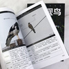 Close to Nature Series Field Bird Watching Manual (Second Edition) 368 species of Chinese birds in 20 orders, 72 families, identification key points, ecological characteristics, distribution habitats, best bird watching time and area, etc.