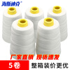 Hasdick HKW-202 portable packing thread, sewing thread, sealing machine thread, white 6 strands, net weight 125g (5 rolls)