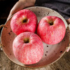 Jingxiansheng Shaanxi Luochuan Red Fuji Apples, 16 pieces, single fruit 250g, fresh fruit gift box, straight from the source