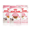 Royal Cat Food Kitten Wet Food Soft Pack Cat Canned KJP General Food April-December Jelly Aspic 85G*12 Imported
