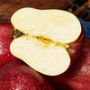 Jingxiansheng Gansu Tianshui Huaniu apple, big and red, net weight 4 pounds, single fruit starting from 160g, fresh fruit