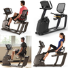 JOHNSON Recumbent Exercise Bike R30 Household Silent Indoor Lazy Bike Sports and Fitness Equipment for the Elderly Villa Selection R30XR LCD Screen