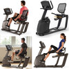 JOHNSON Recumbent Exercise Bike R30 Household Silent Indoor Lazy Bike Sports and Fitness Equipment for the Elderly Villa Selection R30XR LCD Screen