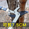 Arrizo thick branch scissors, gardening, fruit tree pruning, branch shears, pruning shears, garden powerful scissors, telescopic scissors, scissors, manual farm tools, 3rd generation shark mouth to strengthen muscles and bones (shear 70)