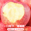 Jingdida Shaanxi Luochuan apple gift box fruit gift box high-end gift box net weight 6 pounds single fruit 190g + direct from source