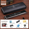 Swan (SWAN) imported gongs 28-hole professional harmonica advanced adult children's musical instrument school season gift 28-hole C polyphony professional performance level