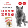 Royal Cat Food British Shorthair Adult Cat Wet Food Soft Pack Canned Cat BSP 12 Months and Over Soup Meat Nuggets 85G*12 Imported