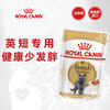 Royal Cat Food British Shorthair Adult Cat Wet Food Soft Pack Canned Cat BSP 12 Months and Over Soup Meat Nuggets 85G*12 Imported