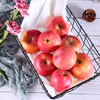 Jingxiansheng Yantai Red Fuji Apple, net weight 5.2kg/12 pieces, single fruit 190-240g, fruit gift box