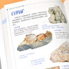 Complete illustration of minerals and rocks. Intuitive, three-dimensional and all-round identification and analysis, easy to understand minerals and rocks.