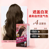Bigen Quick Hair Dye 80g (Dark Chestnut 4) Women's Hair Dye Plant Extract