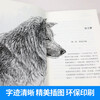 Dream of the Wolf King Shen Shixi's animal novel king children's literature adolescent primary and secondary school students extracurricular reading books genuine books 7-14 years old