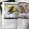 Close to Nature Series Field Bird Watching Manual (Second Edition) 368 species of Chinese birds in 20 orders, 72 families, identification key points, ecological characteristics, distribution habitats, best bird watching time and area, etc.