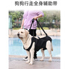OIMG dog leash portable auxiliary belt for elderly dogs, disabled dog rehabilitation exercise belt, upstairs assistance belt, black L-large