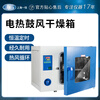 Jiujuhe Shanghai Yiheng stainless steel oven electric heating constant temperature blast drying oven industrial high temperature drying oven laboratory oven DHG-9625A type temperature control RT+10~300