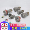 BJ-YT Ladbrokes explosion-proof plug aviation plug socket single three-phase four-five pole 380v non-sparking connector 15A single phase-3 core x plug BJ-YT-J