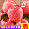 Sweet and drunk Yantai Apple Qixia Red Fuji fresh fruit fresh Shandong specialty crispy sweet whole box flat fruit gift box gift 3 pounds early adopter fruit 75mm