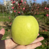 Shuaidui Shaanxi Baishui Ruixue Apple Authentic 2025 Season Fresh Crisp Sweet Fragrant Green Apple Premium Fruit Gift Box Full Box Selected 4.5 Jin Large Fruit 80-85mm About 9-10 Pieces